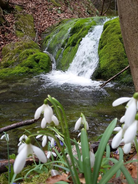 Pensiunea Piatra Graitoare Vârtop Buitenkant foto