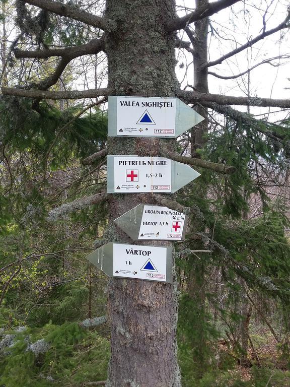 Pensiunea Piatra Graitoare Vârtop Buitenkant foto