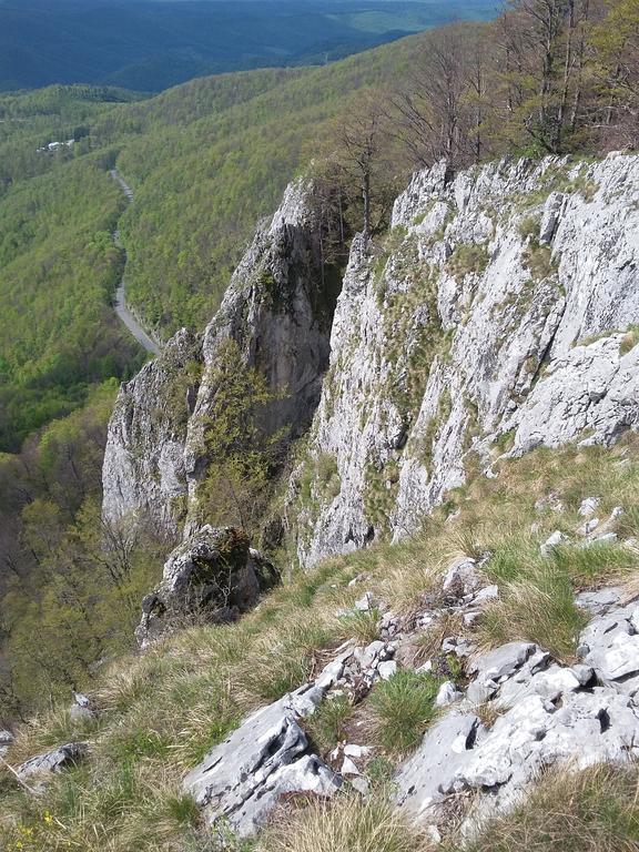 Pensiunea Piatra Graitoare Vârtop Buitenkant foto
