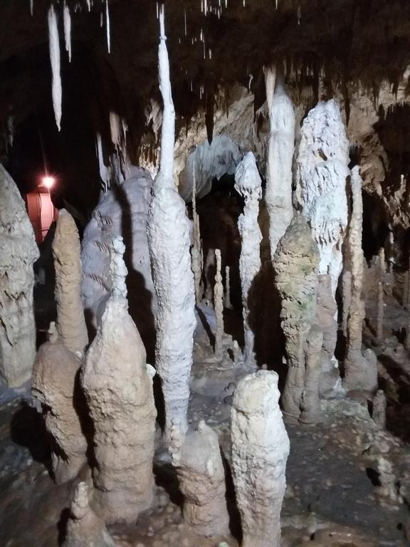 Pensiunea Piatra Graitoare Vârtop Buitenkant foto
