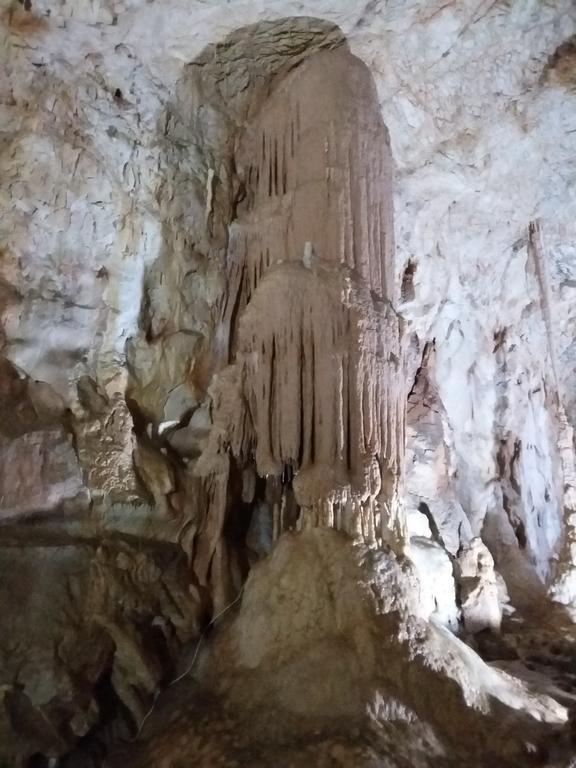 Pensiunea Piatra Graitoare Vârtop Buitenkant foto