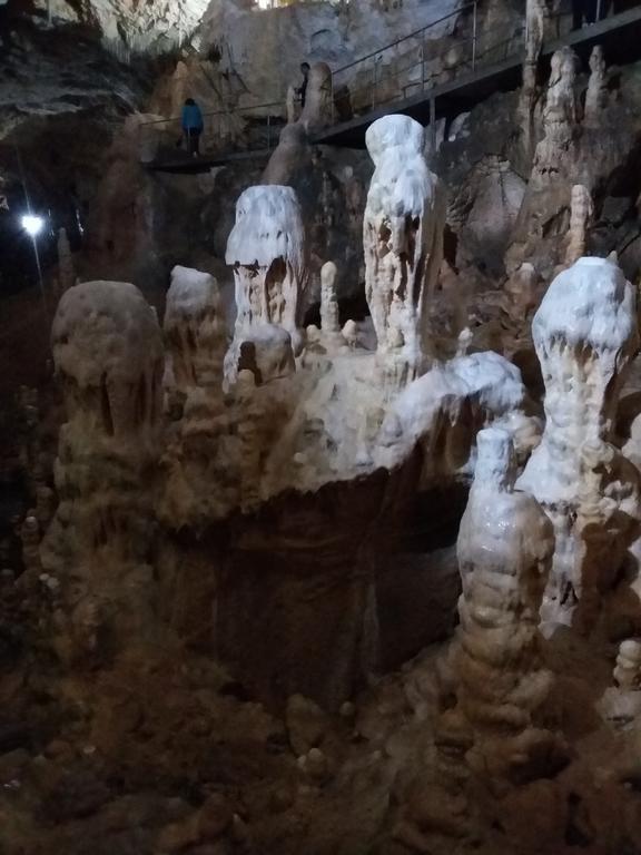 Pensiunea Piatra Graitoare Vârtop Buitenkant foto