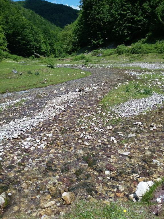 Pensiunea Piatra Graitoare Vârtop Buitenkant foto