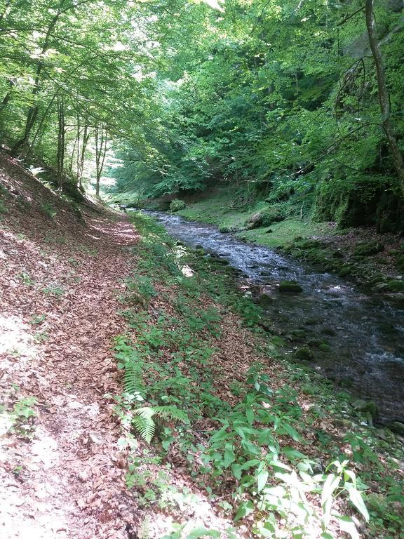 Pensiunea Piatra Graitoare Vârtop Buitenkant foto