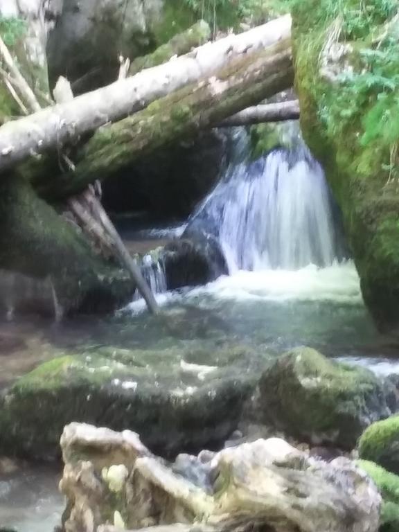 Pensiunea Piatra Graitoare Vârtop Buitenkant foto