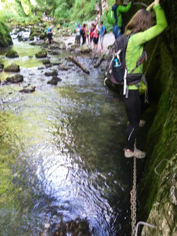 Pensiunea Piatra Graitoare Vârtop Buitenkant foto