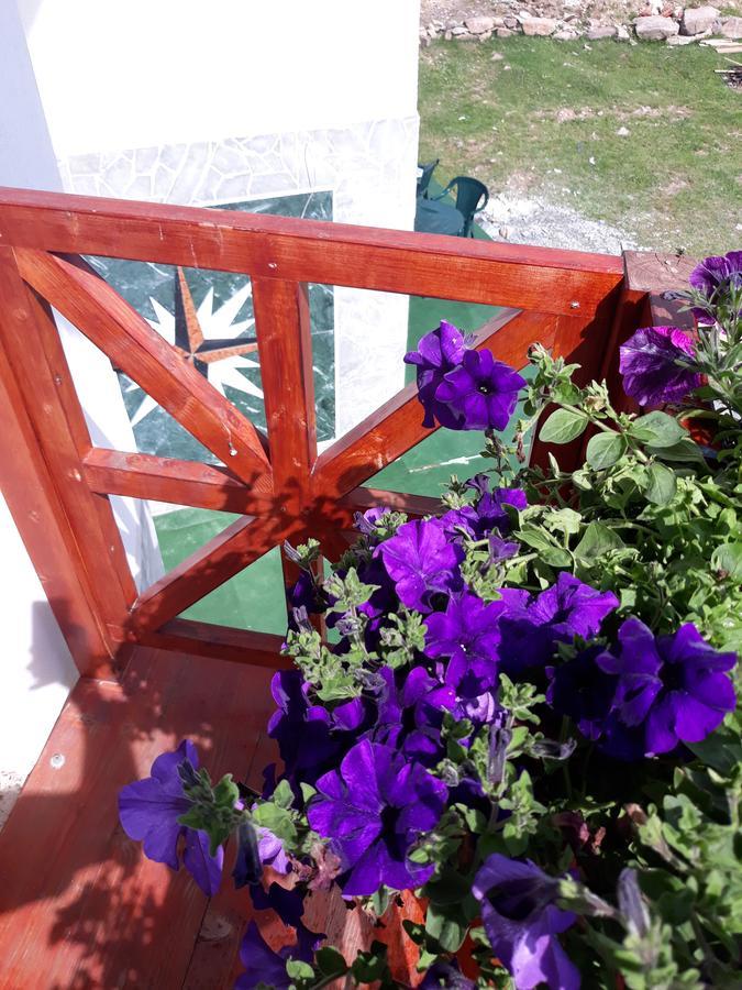 Pensiunea Piatra Graitoare Vârtop Buitenkant foto