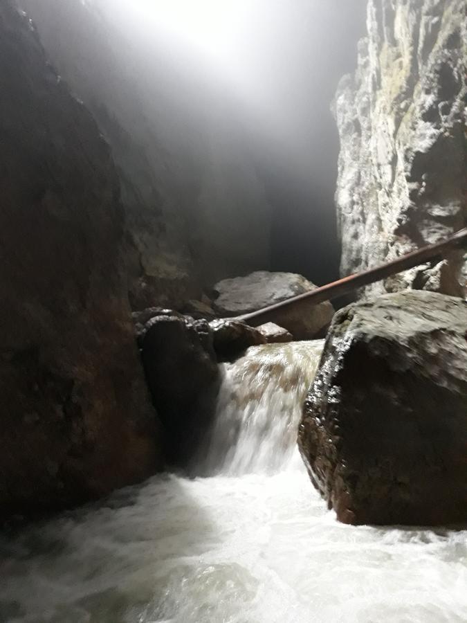 Pensiunea Piatra Graitoare Vârtop Buitenkant foto